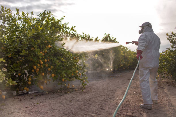 Best Exterminator Services  in Geva, NE
