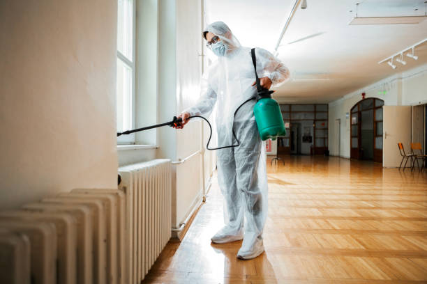 Best Residential Pest Control  in Geva, NE