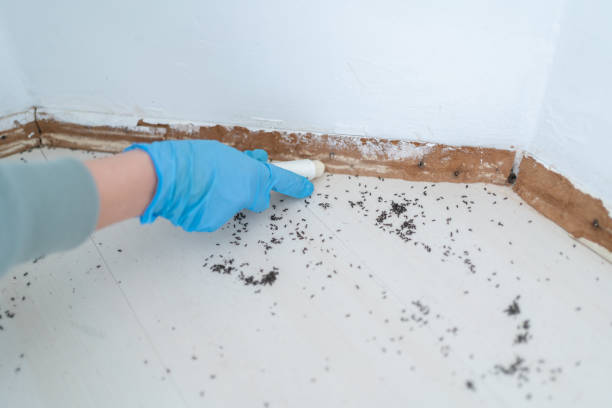 Best Best Pest Control Companies  in Geva, NE